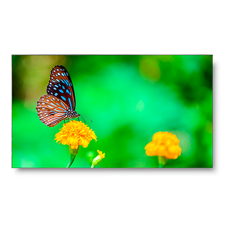 49" LED-Backlit 1.8mm 2x2 Video Wall Bundle (98" Active Screen Size)