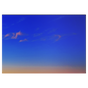 NEC UN551S NEC UN551S | 55" Ultra-Narrow Bezel UN Series S-IPS Video Wall Display