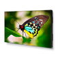 55" Ultra-Narrow Bezel 4 display video wall