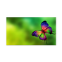 55” LED Backlit 0.88mm Ultra-Narrow Bezel 2x2 Video Wall Bundle