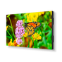 NEC UN552S + Chief LVS1U 1x1 Kit | 55" Ultra-Narrow Bezel Professional-Grade Display with Chief Full Service Mount