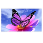 55" Ultra-Narrow Bezel 4 display video wall