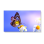 NEC UN552V + DS-VW775-QR 1x1 Kit | 55" Ultra-Narrow Bezel Professional-Grade Display with Peerless Full Service Mount