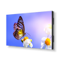 NEC UN552V + DS-VW775-QR 1x2 Kit | 55" Ultra-Narrow Bezel Professional-Grade Display with Peerless Full Service Mount