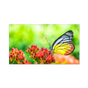 55” LED Backlit 0.88mm Ultra-Narrow Bezel 2x2 Video Wall Bundle
