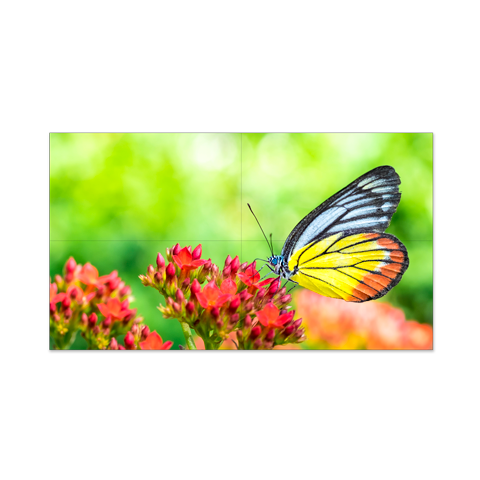 55” LED Backlit 0.88mm Ultra-Narrow Bezel 2x2 Video Wall Bundle