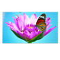55” LED Backlit 0.88mm Ultra-Narrow Bezel 3x3 Video Wall Bundle