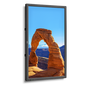 32" High-Performance LED-backlit Commercial-Grade Display
