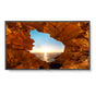 V Series V484 - 48" Commercial LED Display