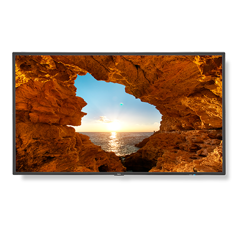 V Series V484 - 48" Commercial LED Display