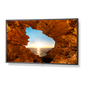 V Series V484 - 48" Commercial LED Display