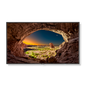 55" Commercial-Grade Large Format Display