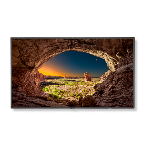 55" Commercial-Grade Large Format Display