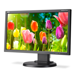 20" Eco-Friendly Widescreen Desktop Monitor