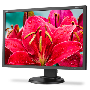 24" Widescreen Desktop Monitor w/ IPS Panel, Integrated Speakers and LED Backlighting